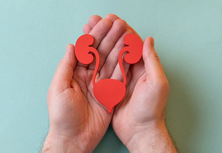 A (Very!) Quick Look At Urinary Tract Infections!