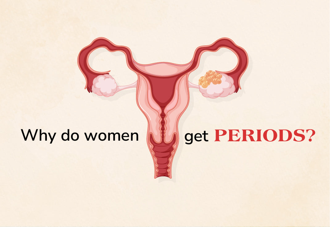 Why do women get periods?