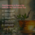 Tulsi Green Tea
