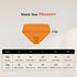 Reusable Period Panty Mid Brief
